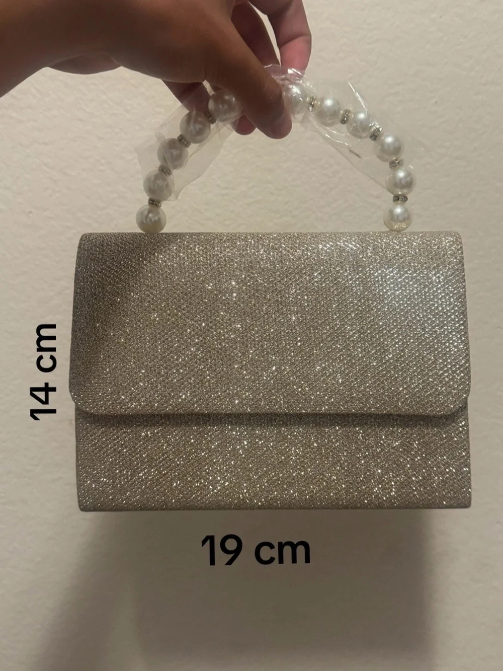Sparkle Pearl Handle Evening Clutch in Champagne
